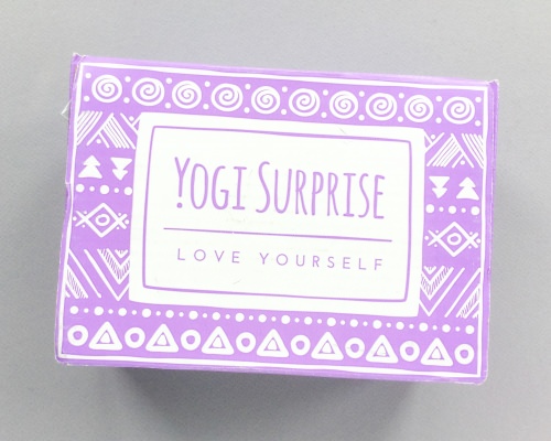 Yogi Surprise Subscription Box Review + Coupon Code – June 2017