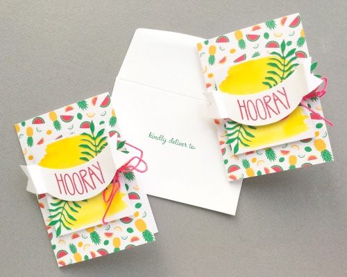 Paper Pumpkin Subscription Box Review – June 2017