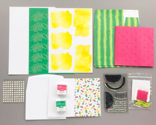 Paper Pumpkin Subscription Box Review – June 2017