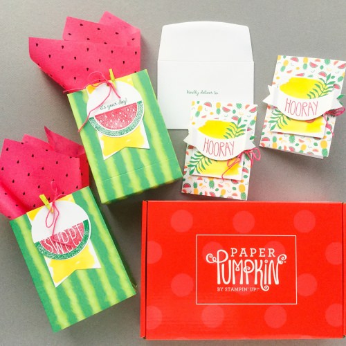 Paper Pumpkin Subscription Box Review – June 2017