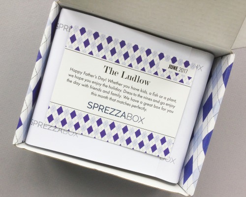 SprezzaBox Review + Coupon Code – June 2017