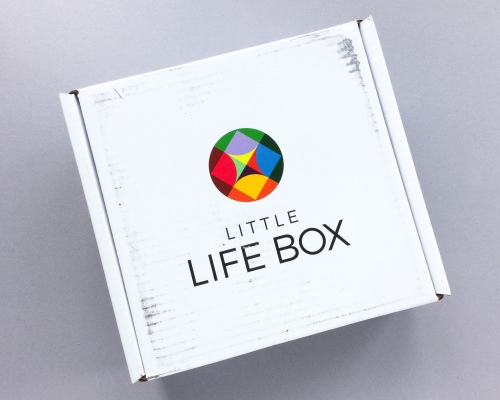 Little Life Box Review + Promo Code – July 2017