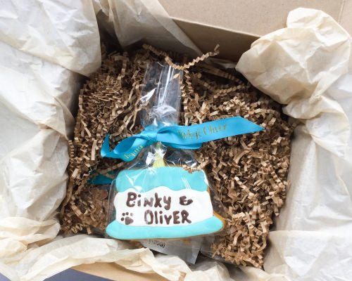 Binky & Oliver Subscription Box Review – July 2017