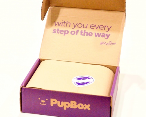 PupBox Subscription Box Review + Coupon Code – July 2017