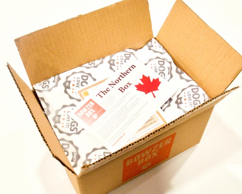 Bowzer Box Review + Discount Code – June 2017