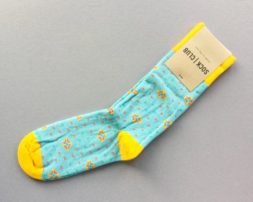 Sock Club Review + Get a FREE Month – July 2017