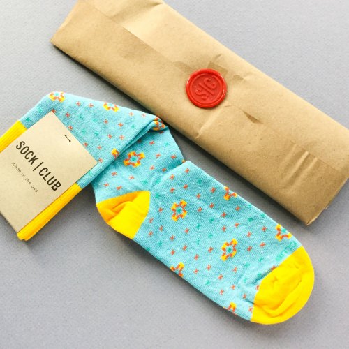 Sock Club Review + Get a FREE Month – July 2017