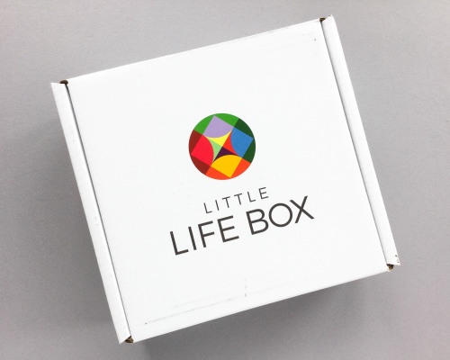 Little Life Box Subscription Box Review + Promo Code – August 2017