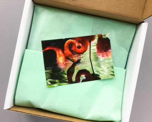 Little Life Box Subscription Box Review + Promo Code – August 2017