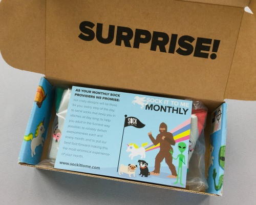 Sock It to Me Monthly Subscription Box Review – August 2017