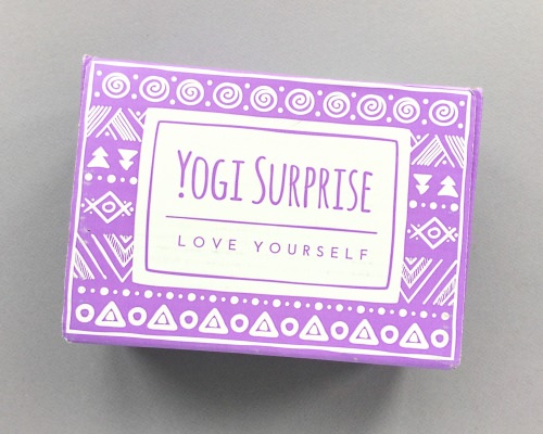 Yogi Surprise Subscription Box Review + Coupon Code – August 2017