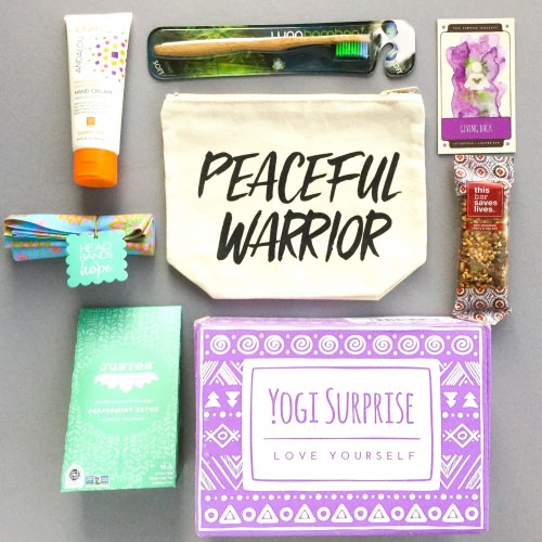 Yogi Surprise Subscription Box Review + Coupon Code – August 2017