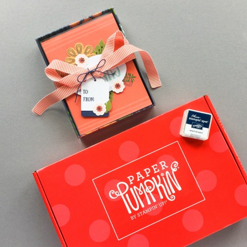 Paper Pumpkin Subscription Box Review + Promo Code – August 2017