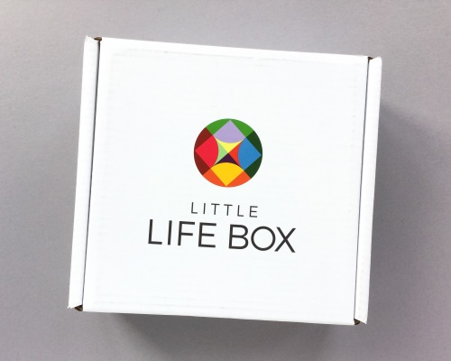 Little Life Box Subscription Box Review + Promo Code – September 2017