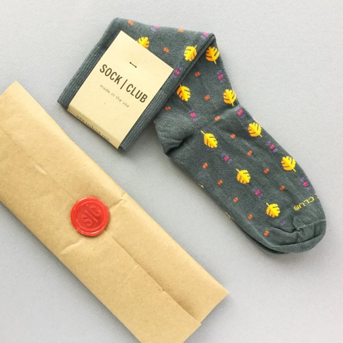 Sock Club Review + Get a FREE Month – September 2017