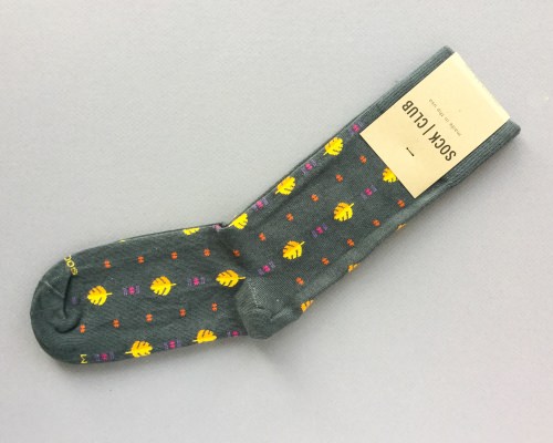 Sock Club Review + Get a FREE Month – September 2017