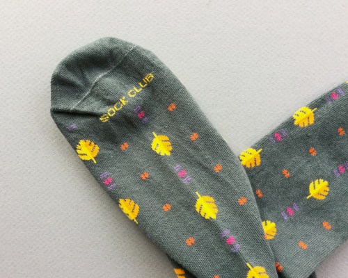 Sock Club Review + Get a FREE Month – September 2017