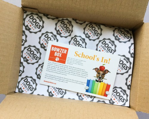 Bowzer Box Review + Discount Code – September 2017