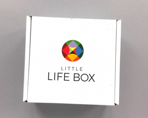 Little Life Box Subscription Box Review + Promo Code – October 2017
