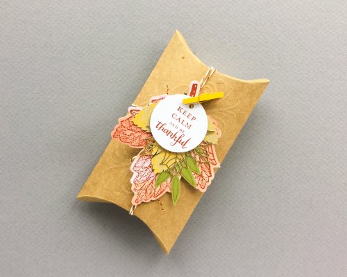 Paper Pumpkin Subscription Box Review – September 2017