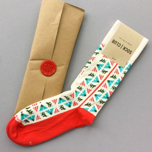 Sock Club Review + Get a FREE Month – October 2017