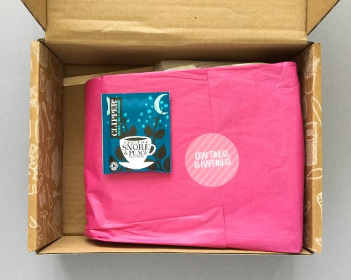 Craftiosity Subscription Box Review + Coupon Code – September 2017