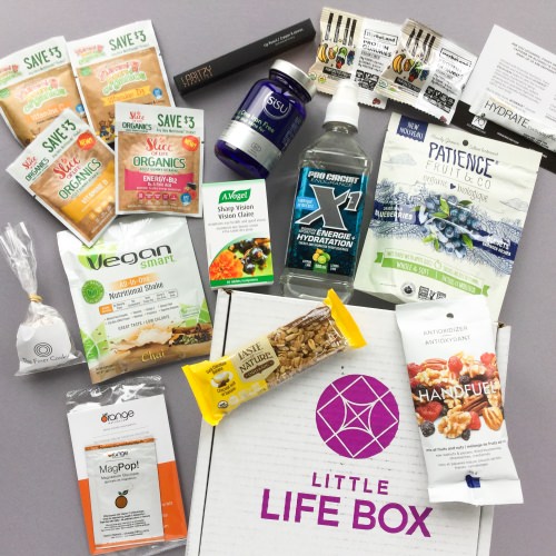 Little Life Box Subscription Box Review + Promo Code – November 2017