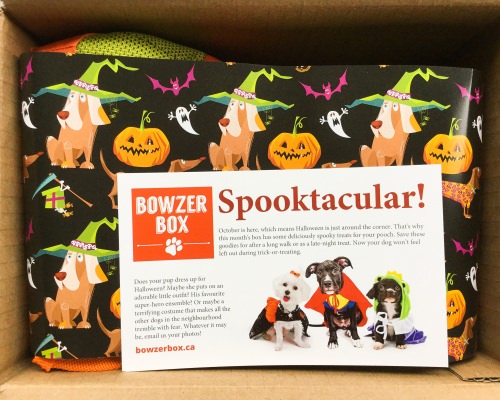 Bowzer Box Review + Discount Code – October 2017