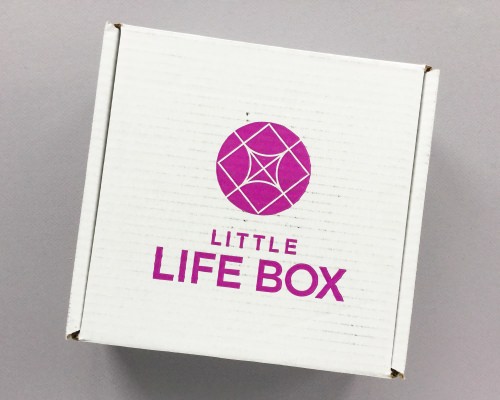 Little Life Box Subscription Box Review + Promo Code – November 2017