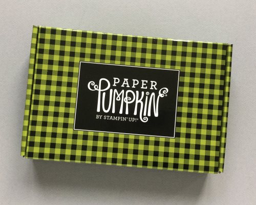 Paper Pumpkin Subscription Box Review – October 2017