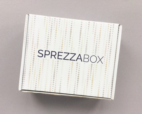 SprezzaBox Subscription Box Review + Coupon Code – November 2017