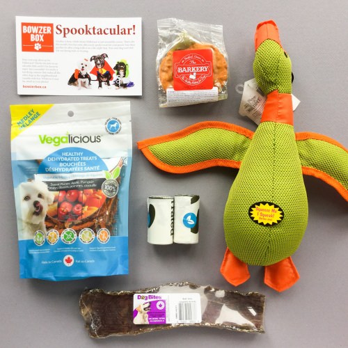 Bowzer Box Review + Discount Code – October 2017