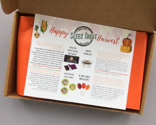 Sleek Treat Subscription Box Review + Promo Code – November 2017