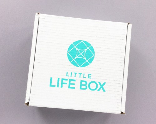 Little Life Box Subscription Box Review + Promo Code – December 2017