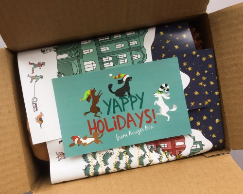 Bowzer Box Review + Discount Code – December 2017