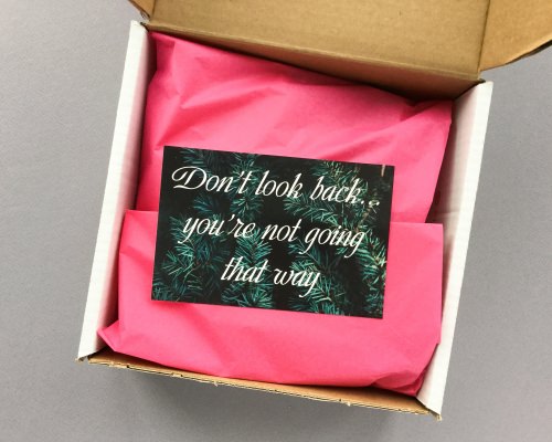 Little Life Box Subscription Box Review + Promo Code – January 2018