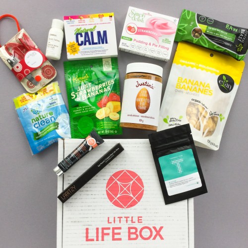 Little Life Box Subscription Box Review + Promo Code – January 2018