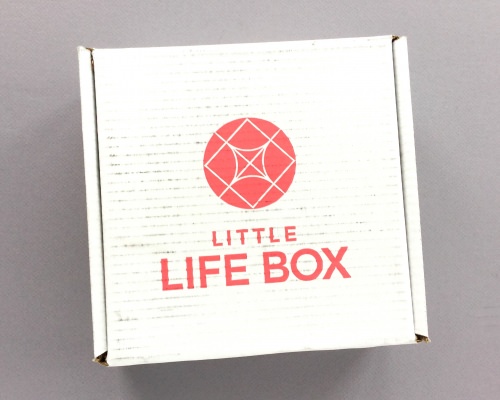 Little Life Box Subscription Box Review + Promo Code – January 2018