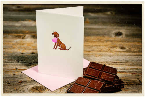 Postmark’d Studio Subscription Box Review – January 2018