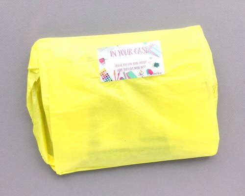 In Your Case Stationery Box Review + Coupon Code – January 2018