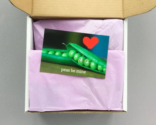 Little Life Box Subscription Box Review + Promo Code – February 2018