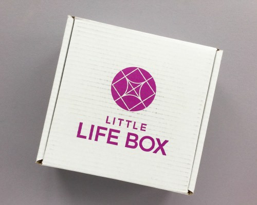 Little Life Box Subscription Box Review + Promo Code – February 2018