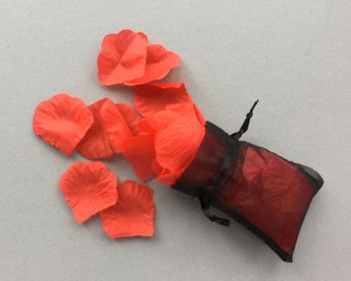KinkKit Subscription Box Review + Coupon Code – February 2018