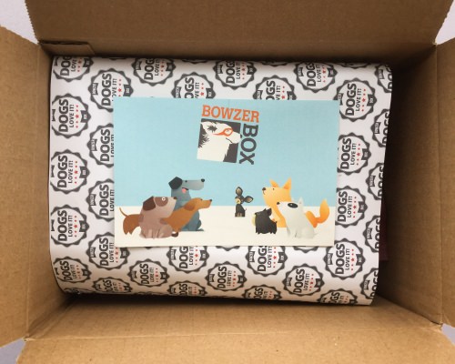 Bowzer Box Review + Discount Code – February 2018
