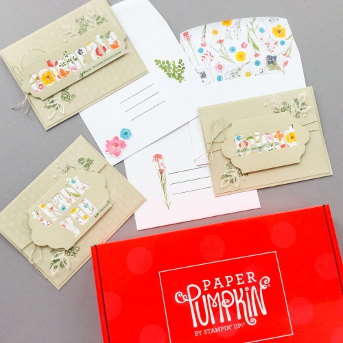 Paper Pumpkin Subscription Box Review – February 2018