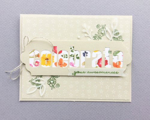 Paper Pumpkin Subscription Box Review – February 2018