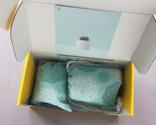 Vellabox Subscription Box Review + Coupon Code – March 2018