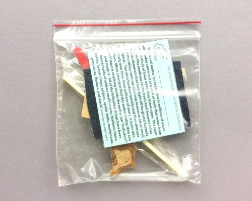 Club SciKidz Labs Subscription Box Review + Promo Code – March 2018