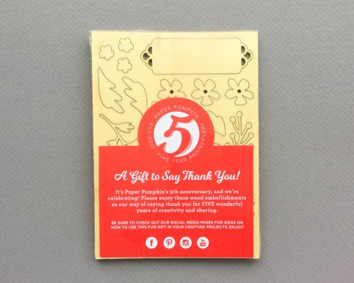 Paper Pumpkin Subscription Box Review + Promo Code – March 2018