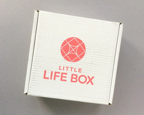 Little Life Box Subscription Box Review + Promo Code – May 2018